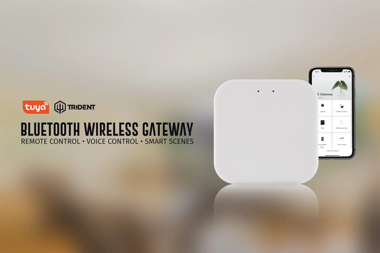 smart-gateway-trident-wr-1